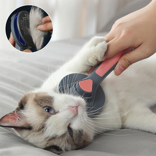 Pets Hair Brush Remover